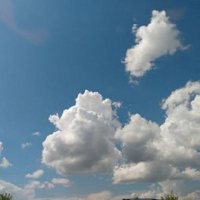 Room wanted in Purchase, NY Main Photo