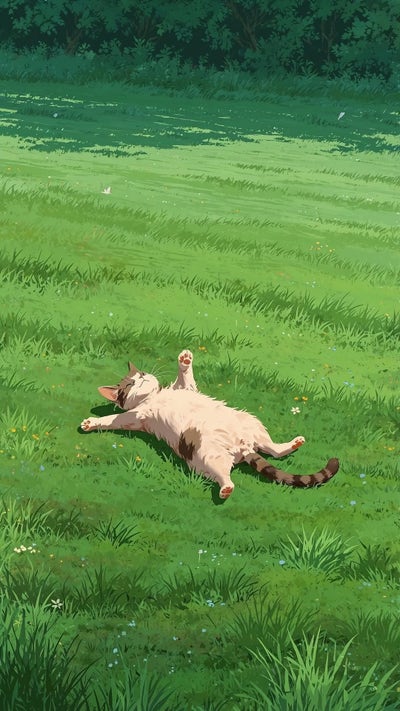 Room wanted in Purchase, NY Main Photo