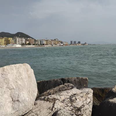 Room wanted in Purchase, NY Main Photo