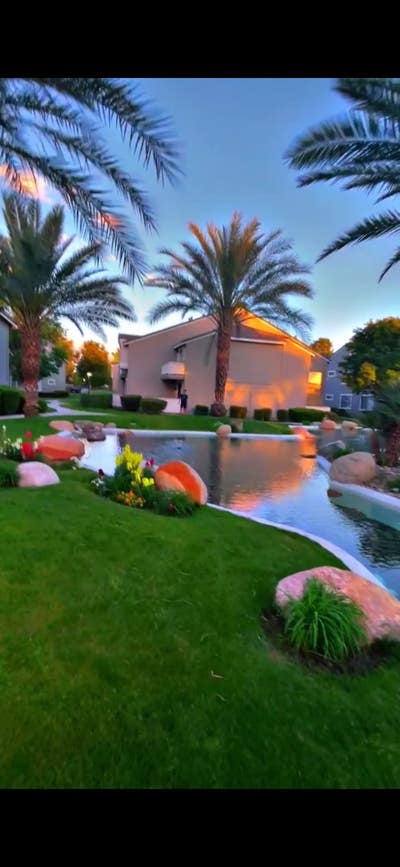 Looking for a roommate The Springs apartments Main Photo