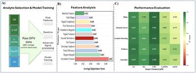 Room wanted in Purchase, NY Main Photo