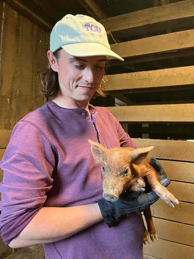 Room wanted in Cincinnati, OH Main Photo