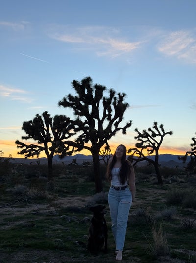 Room wanted in Purchase, NY Main Photo