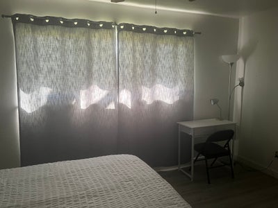 Furnished Room for Rent in Concord  Main Photo