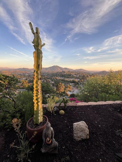 Peaceful Mountain-View Room – Spacious & Serene Main Photo