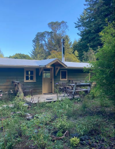 Room for rent in forest house Main Photo