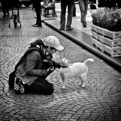 Looking to roommate in Brooklyn or UES/UWS Main Photo