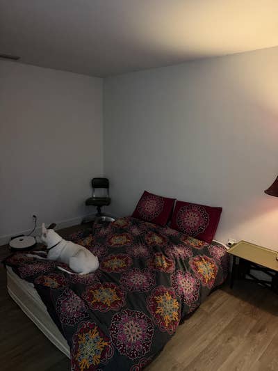 Looking for a roommate ASAP Main Photo