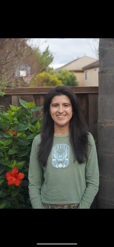 Room wanted in LA Jolla, CA Main Photo