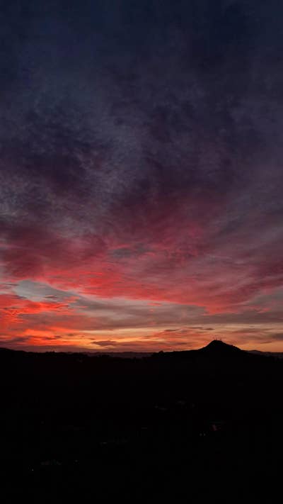 25 year old female looking for room in Orange Main Photo