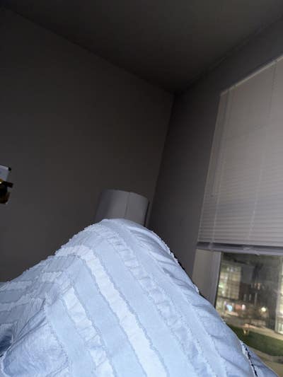 Room wanted in Purchase, NY Main Photo