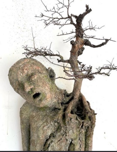 Student looking for a room in Los Angeles now Main Photo