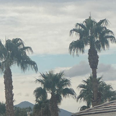 Room wanted in Arizona Reflections, Maricopa Co... Main Photo