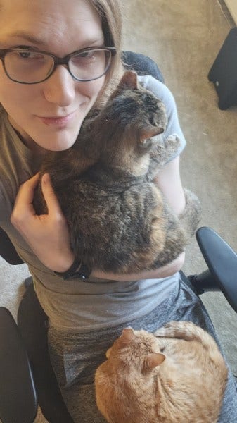 Teacher looking for a room in Cook County Main Photo