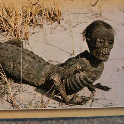 New Graduate Looking for Room  Main Photo