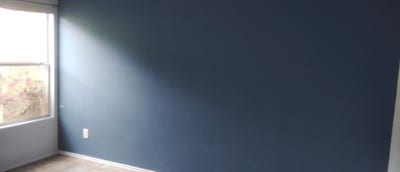 Female Boarder wanted Main Photo