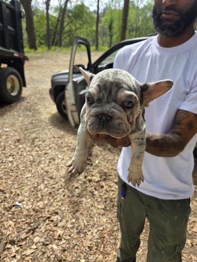 Room wanted in Atlanta Main Photo