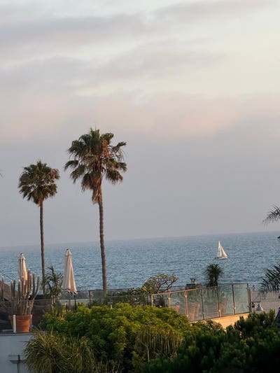 Large Roombalconyrooftop deck & parking for Femal Main Photo