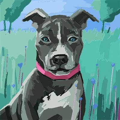 Room wanted in LA Mesa, CA Main Photo