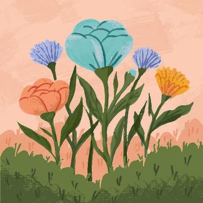 Room wanted in NYC Main Photo