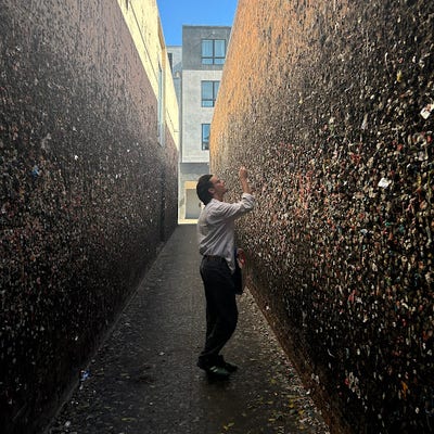 Room wanted in NYC Main Photo