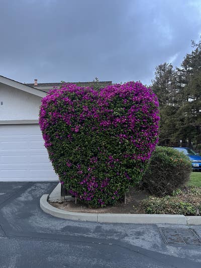 Room wanted in Purchase, NY Main Photo