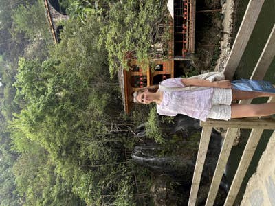 Room wanted in NYC Main Photo