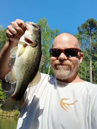 Room wanted in Purchase, NY Main Photo