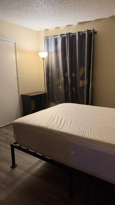 Roommate needed Main Photo