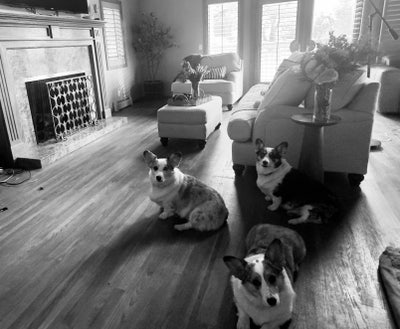 Room wanted in LA Jolla, CA Main Photo