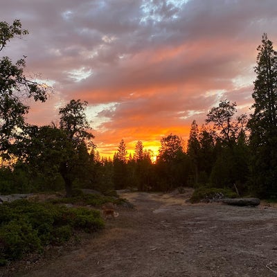 Room wanted in Monterey, CA Main Photo