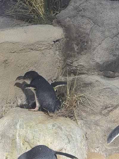 Room wanted in Galloway nj Main Photo