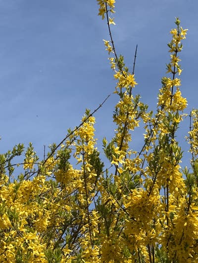 Female student looking for a room in New York Main Photo