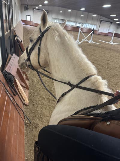 Room wanted in LA Jolla, CA Main Photo