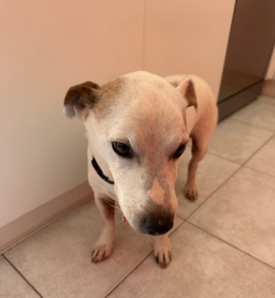 Room wanted in NYC Main Photo