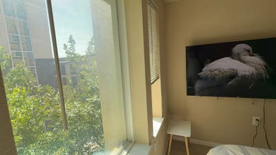 Cozy Private Room in Central Austin – Great Locati Main Photo