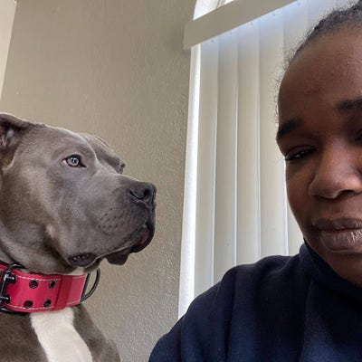 Female student looking for a room in LA area Main Photo