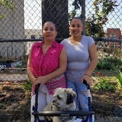 Room wanted in New York Main Photo