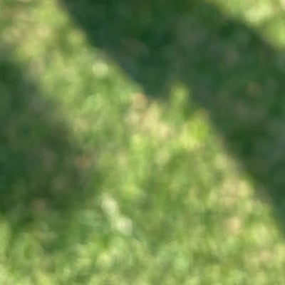 Room wanted in DuPage County, IL Main Photo