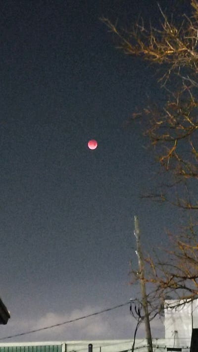 Room wanted in New Orleans Main Photo