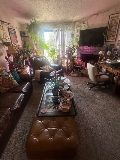 Pet friendly, own BR, inside laundry, no deposit! Main Photo