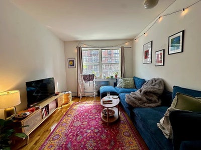Sunny East Williamsburg Room w/ gr8 roomies! Main Photo