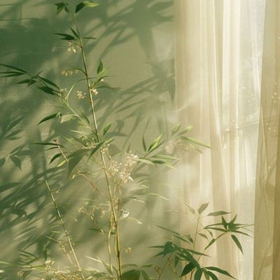 Room wanted in Los Angeles Main Photo