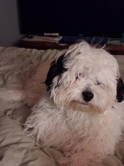 Room wanted in Post Falls, ID Main Photo