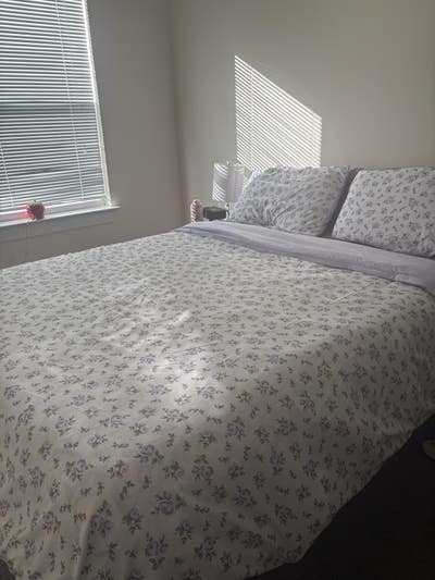 Looking for female renter Main Photo