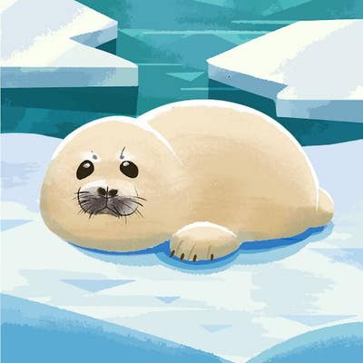 Room wanted in NYC Main Photo