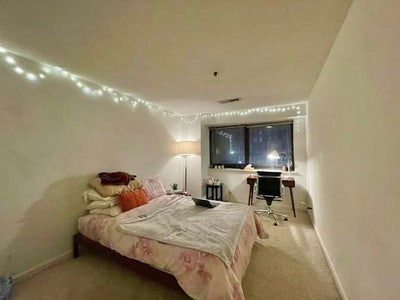 Private Bed & Bath in Cat Friendly Apartment Main Photo