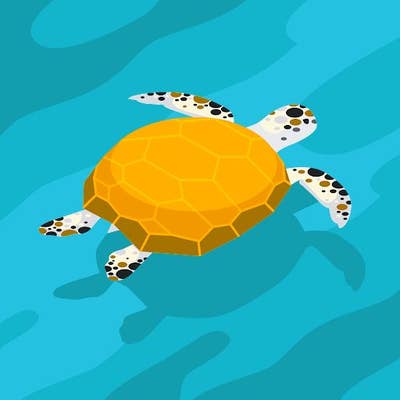 Room wanted in Houston Main Photo