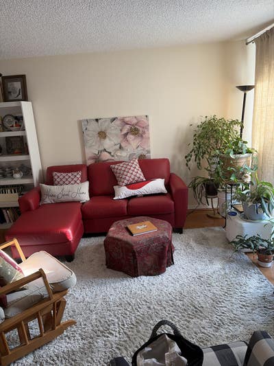 Female Roommate  Main Photo