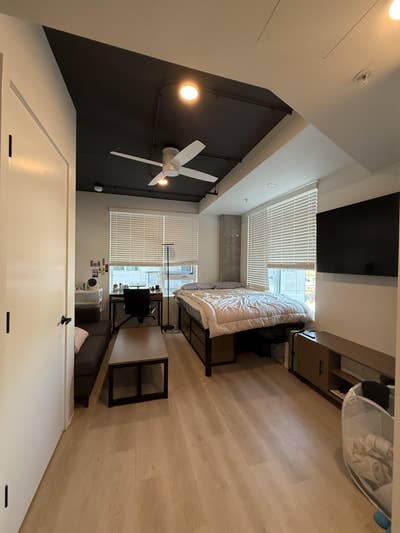 Summer Studio Relet – Tessera USC | Fully Furnishe Main Photo